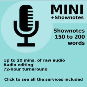 22 - Mini with Shownotes
